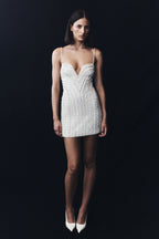 Naveena Embellished Mini Dress in Silver – Chic&Drifts