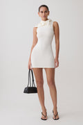 Amilee Scarf Knit Mini Dress
