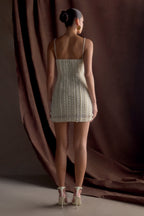 Naveena Embellished Mini Dress in Silver – Chic&Drifts