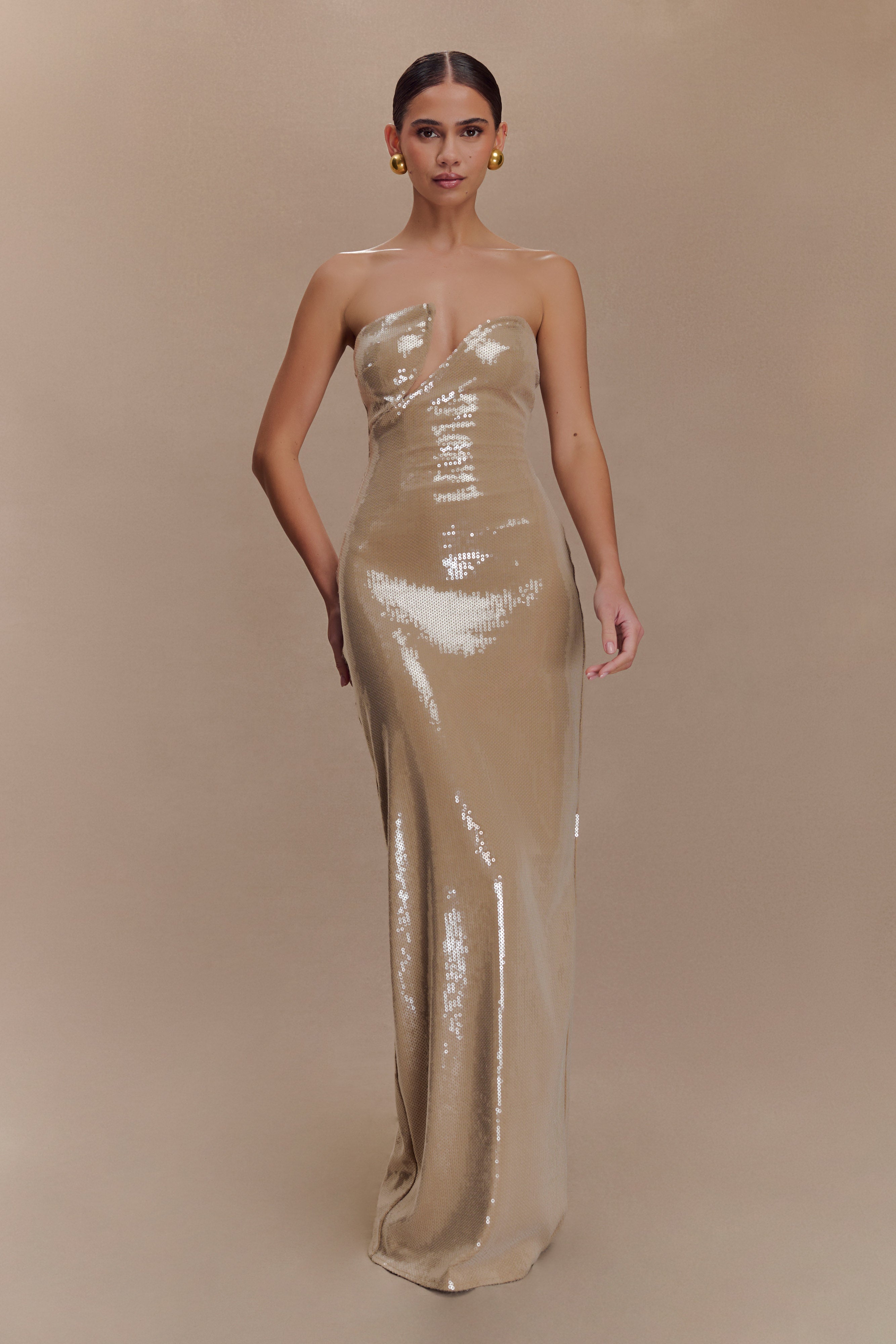Winston Strapless Sequin Maxi Dress