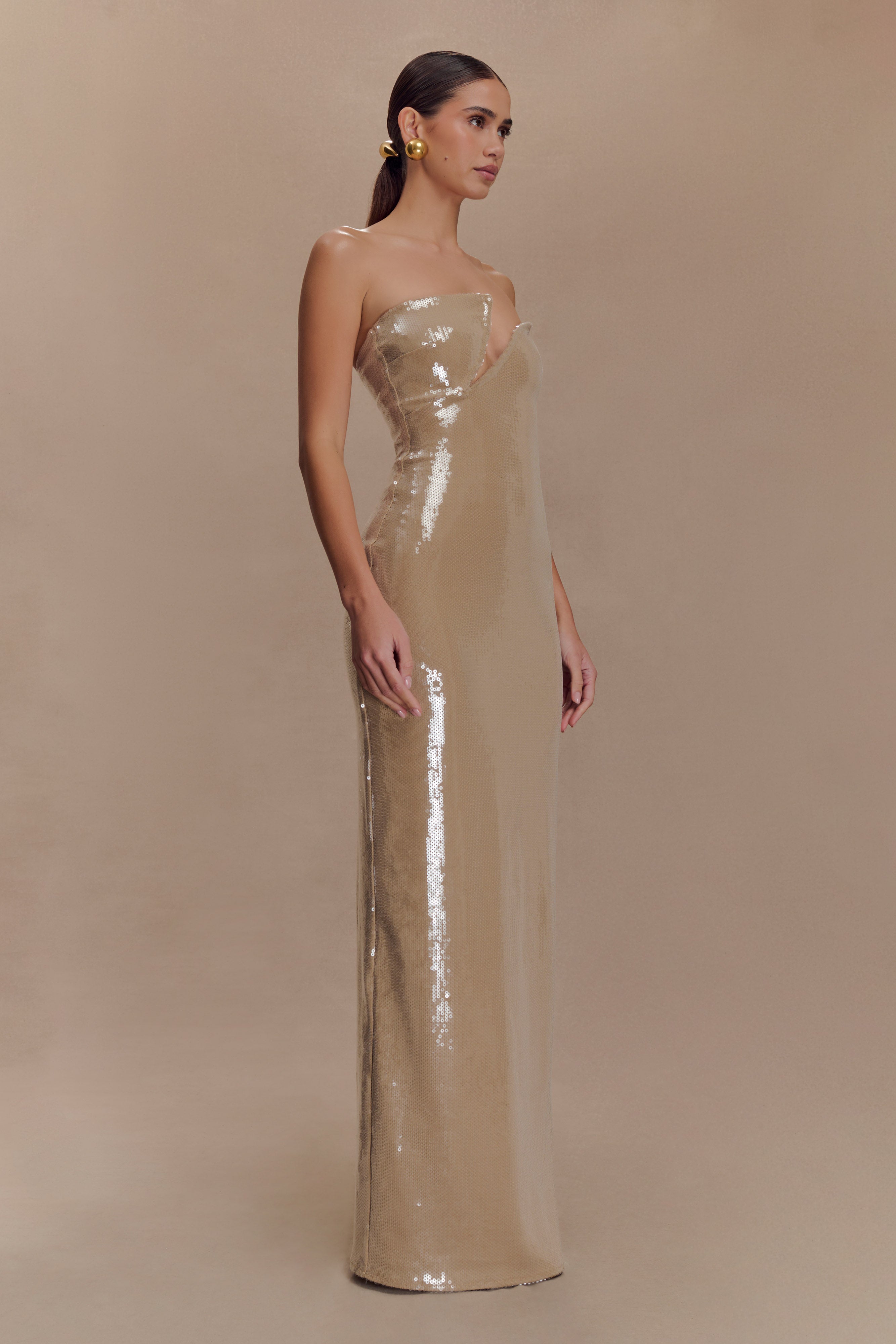 Winston Strapless Sequin Maxi Dress