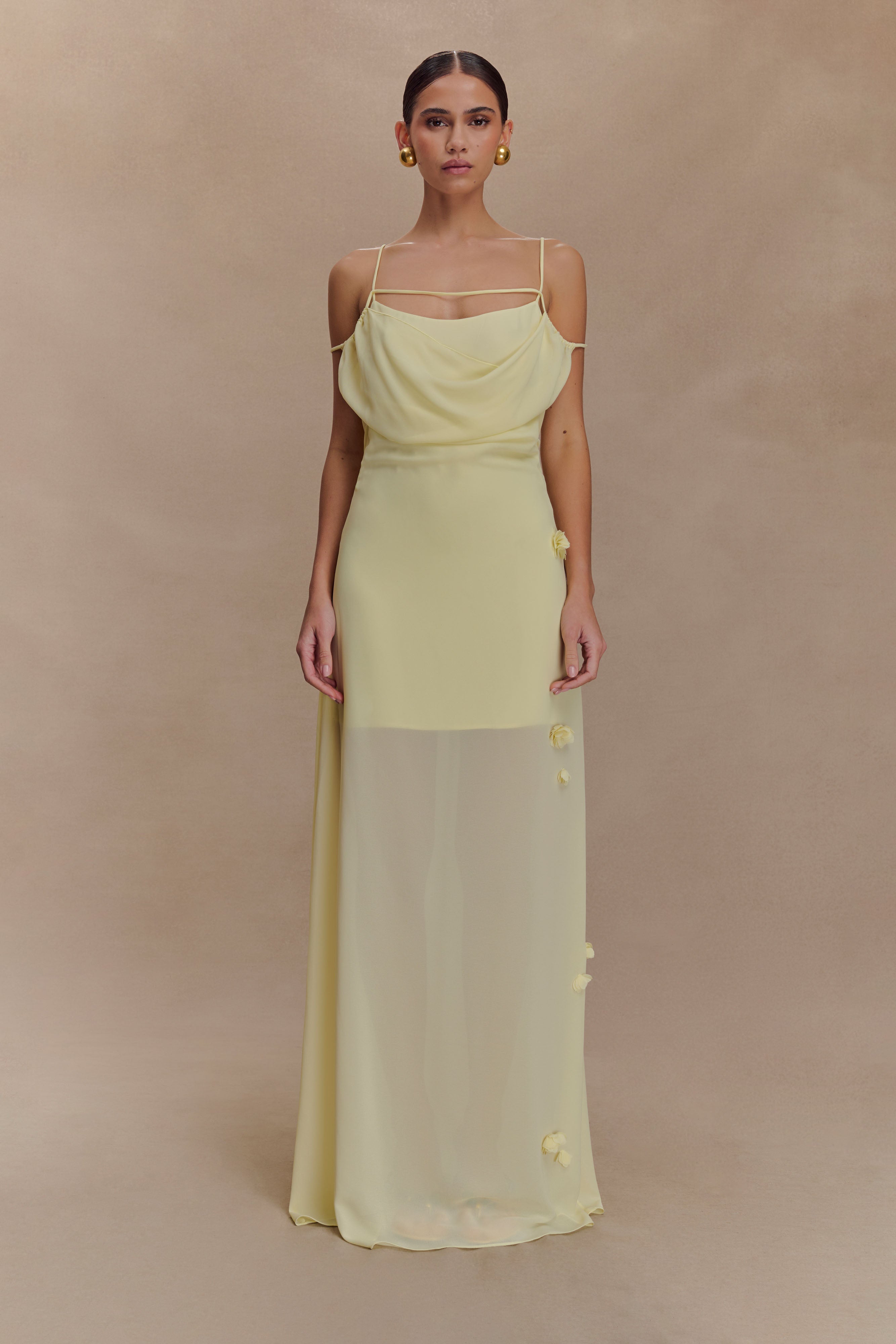 Rosalie Floral Chiffon Maxi Dress