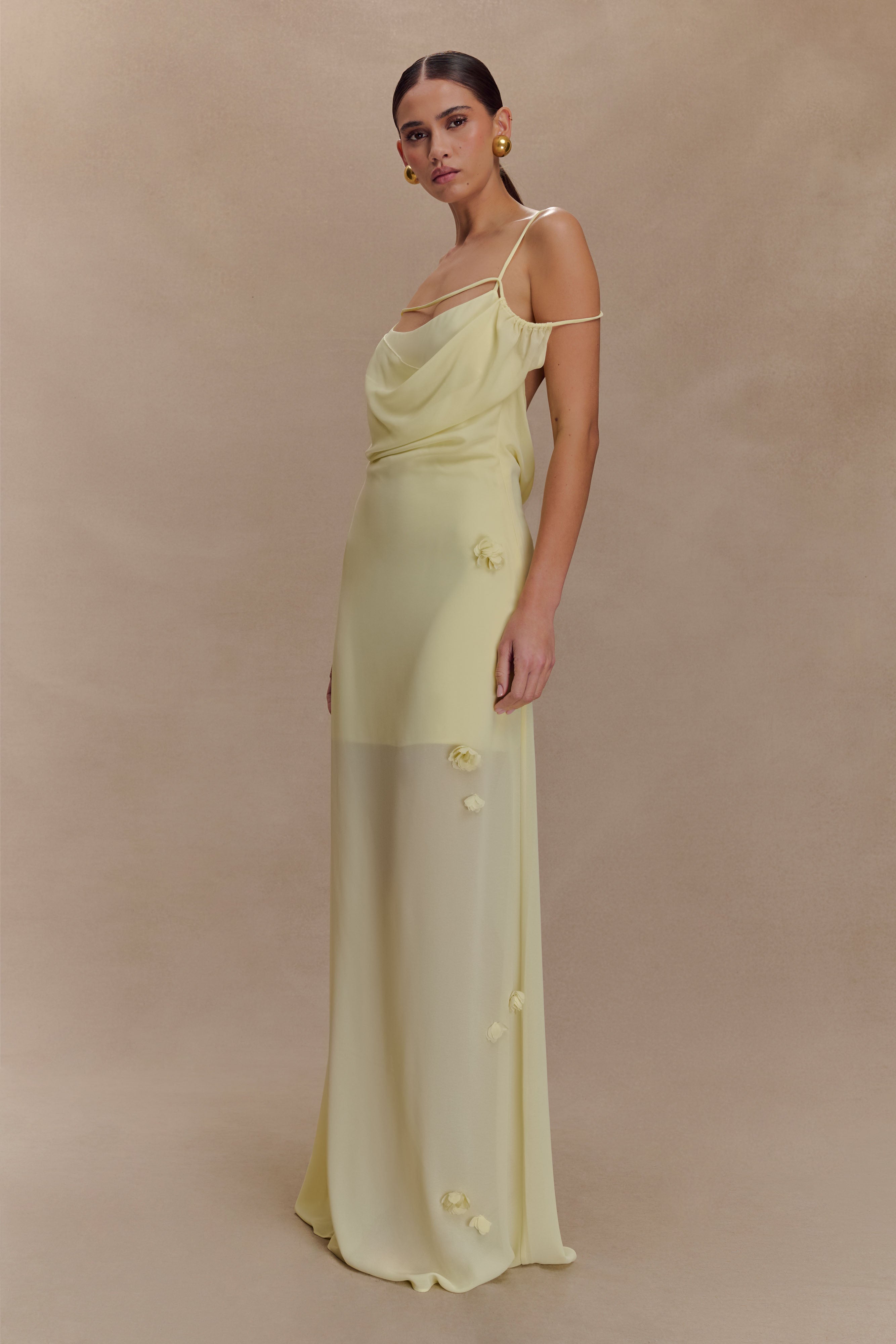 Rosalie Floral Chiffon Maxi Dress