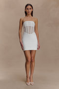 Palmer Mesh Corset Mini Dress