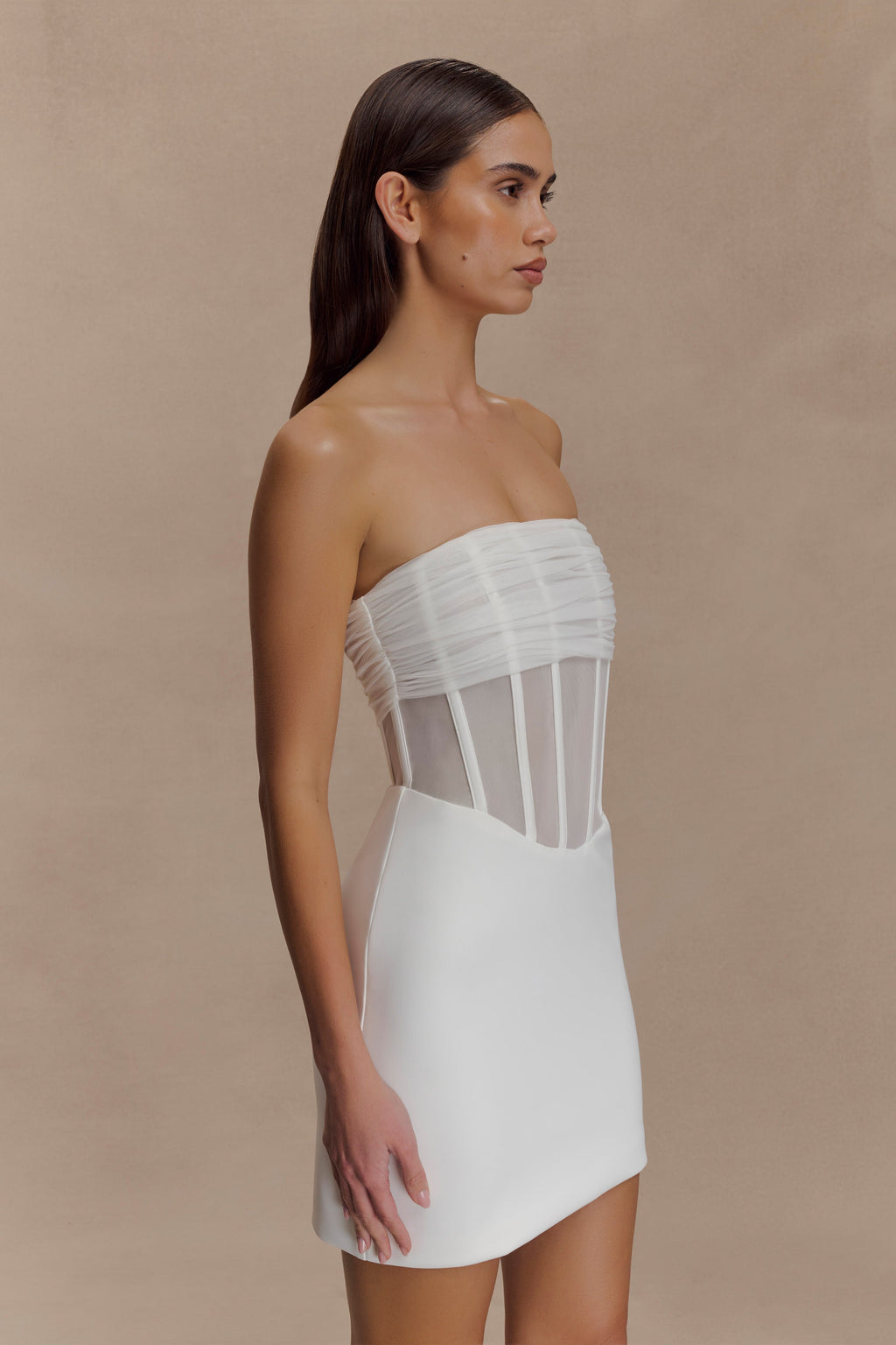 Palmer Mesh Corset Mini Dress