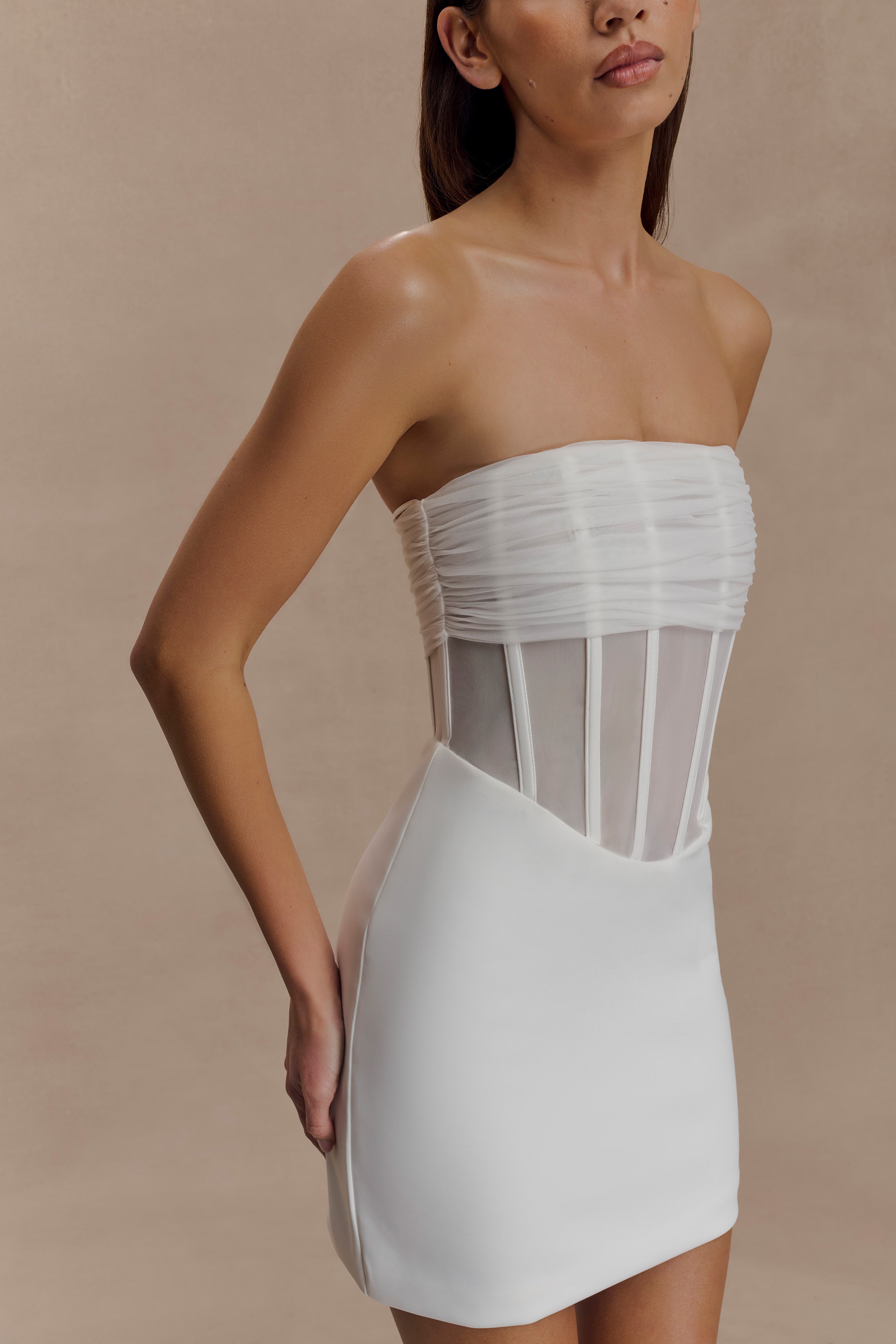 Palmer Mesh Corset Mini Dress