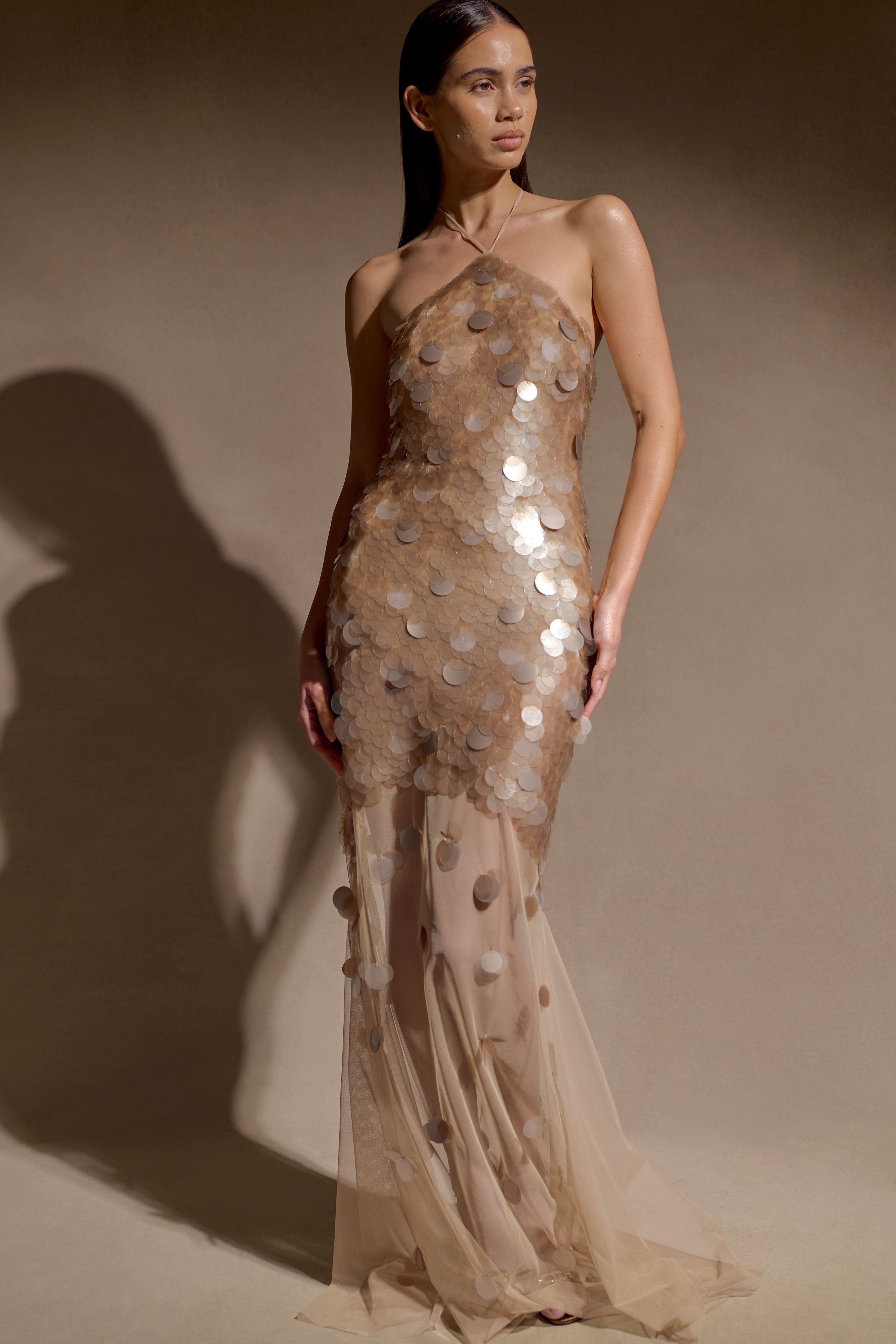 Jenny Hand Embellished Maxi Dress