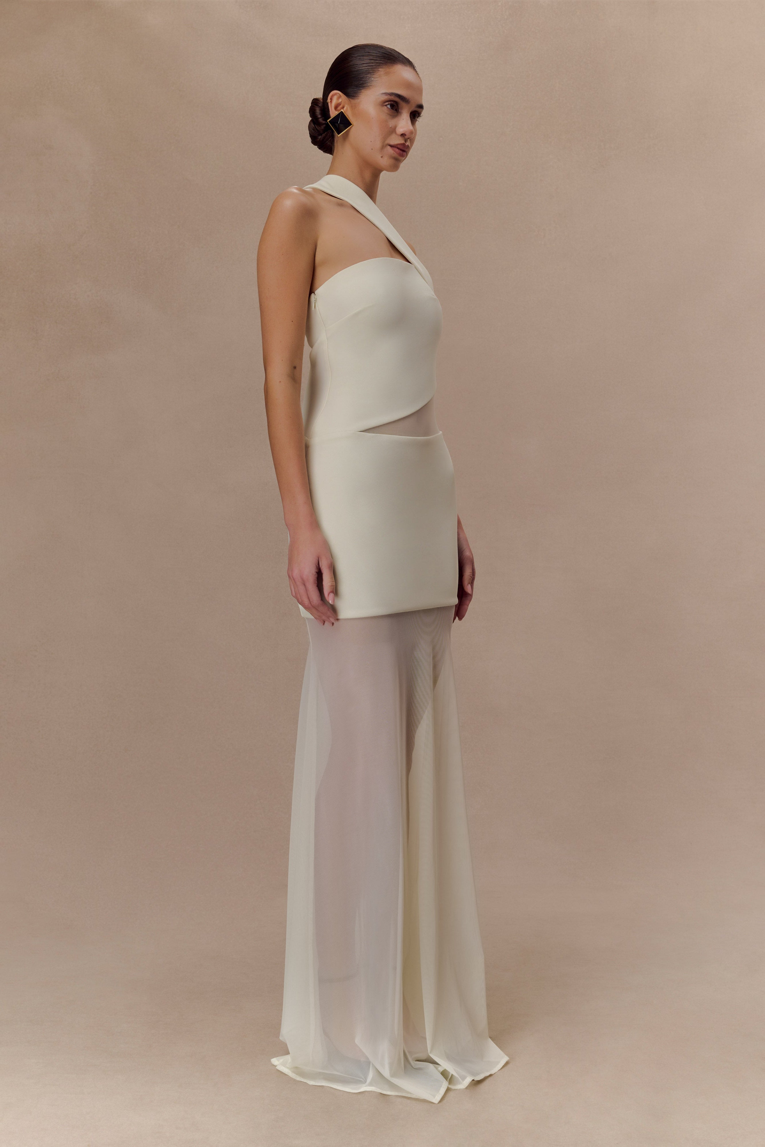 Vashti Cut Out Mesh Maxi Dress