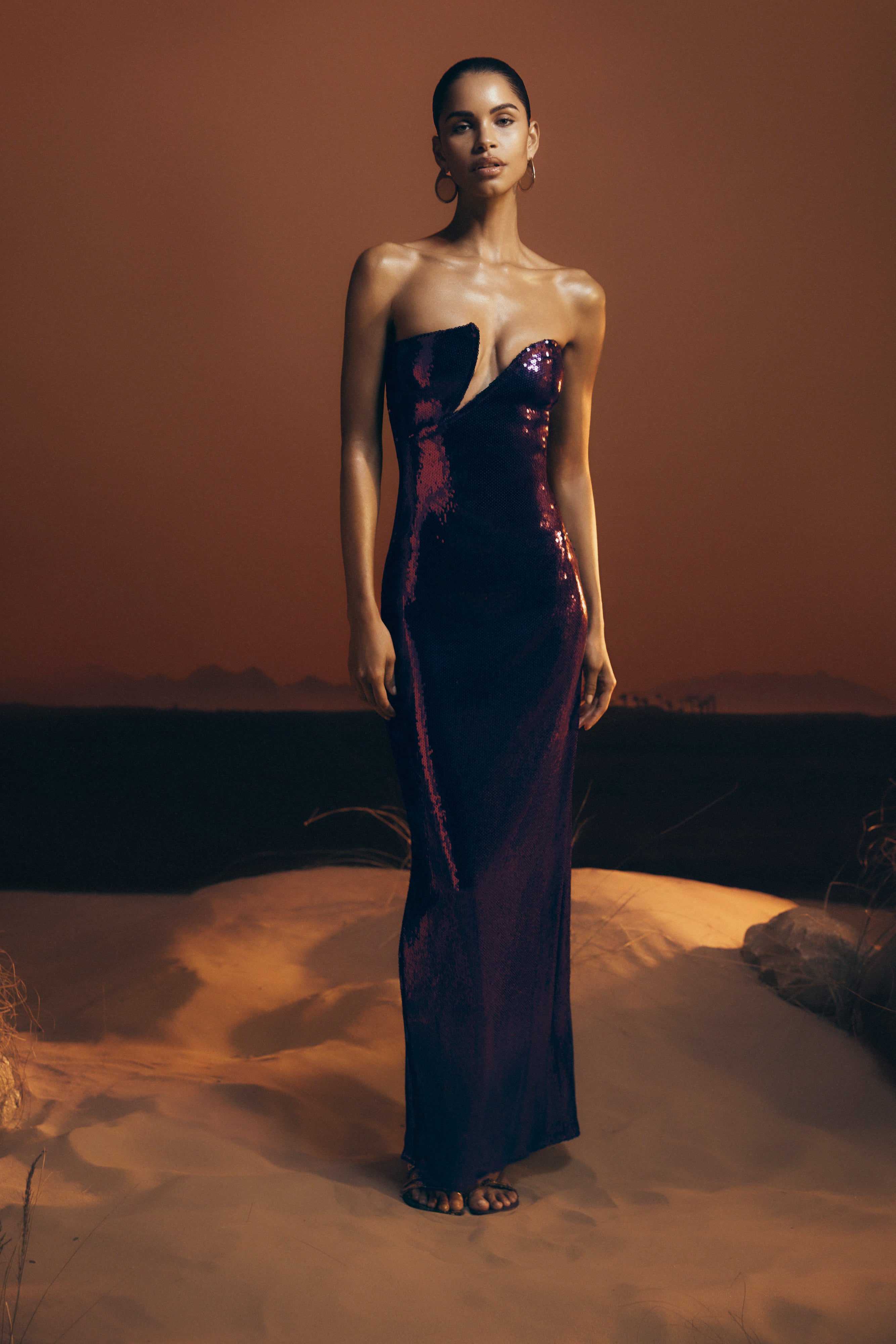 Winston Strapless Sequin Maxi Dress