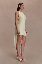 Daisie Chiffon Mini Dress
