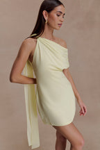 Daisie Chiffon Mini Dress