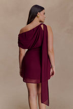 Daisie Chiffon Mini Dress