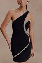 Eleonora Diamante Trim Mini Dress in Black – Chic&Drifts
