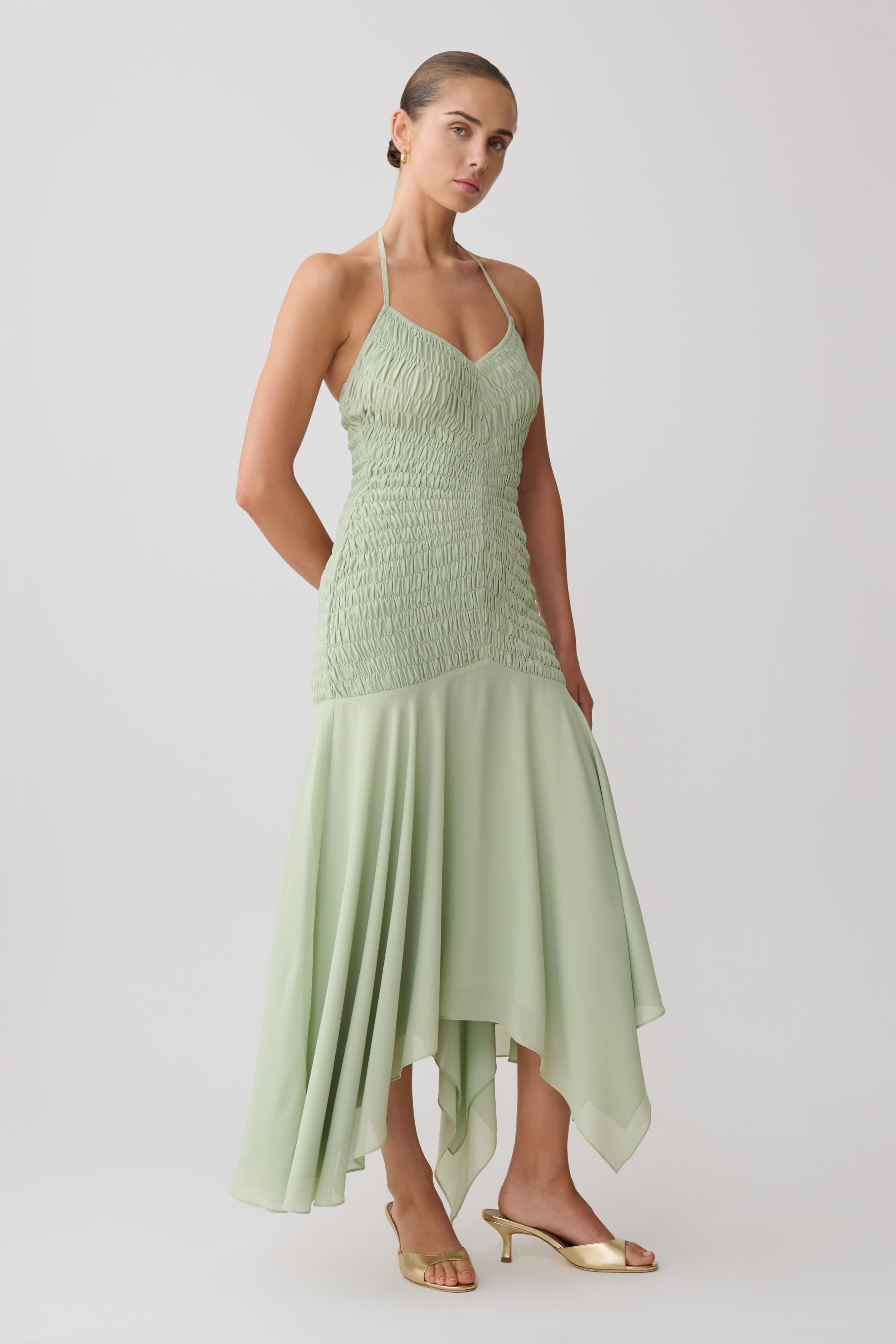 Evelyn Shirred Chiffon Maxi Dress
