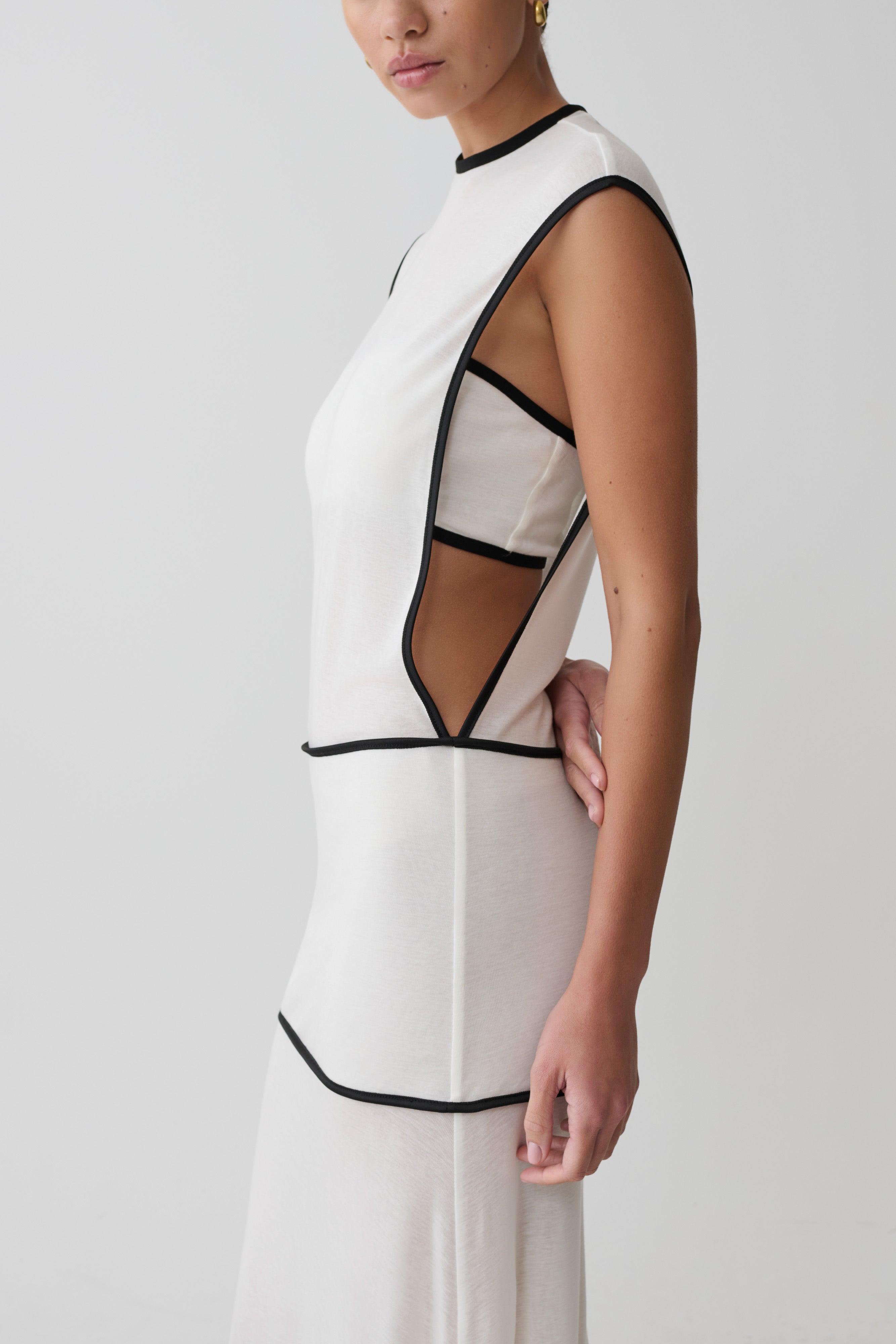 Aris Sleeveless Sheer Maxi Dress