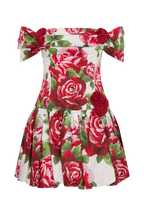 Giovanna Off Shoulder Mini Dress in Sonia Rose Print – Chic&Drifts