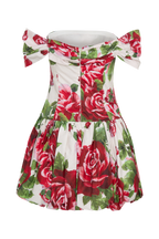 Giovanna Off Shoulder Mini Dress in Sonia Rose Print – Chic&Drifts