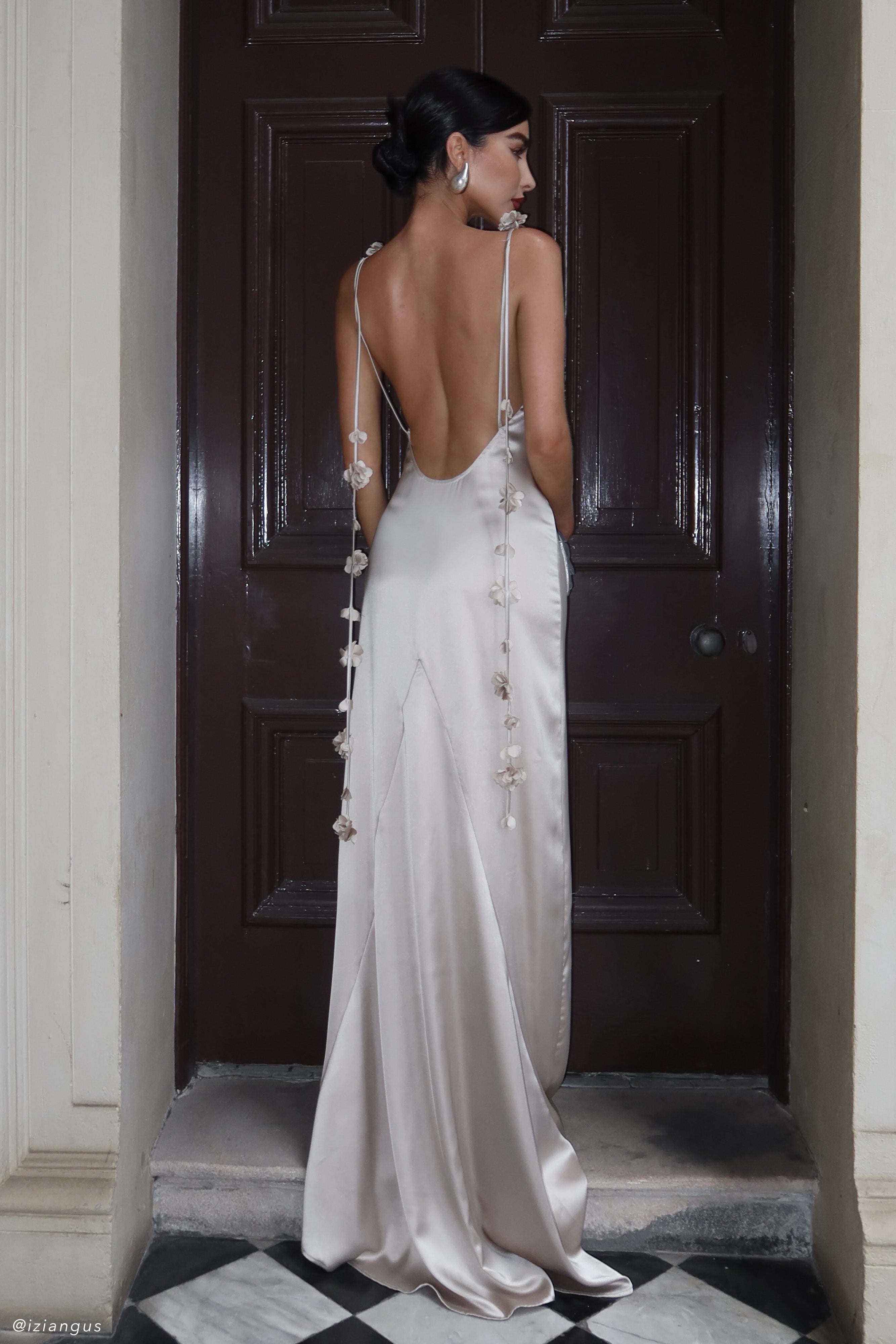 Elenora Rose Gown in Blush Gold – Chic&Drifts